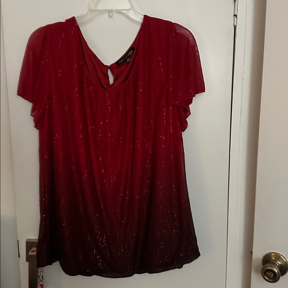 Sara Michelle 2X Festive Red Top